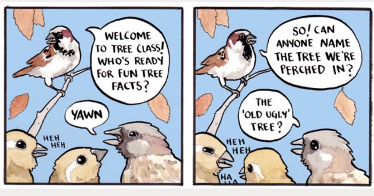 15 False Knees Humorous and often Surreal illustrations of Animals