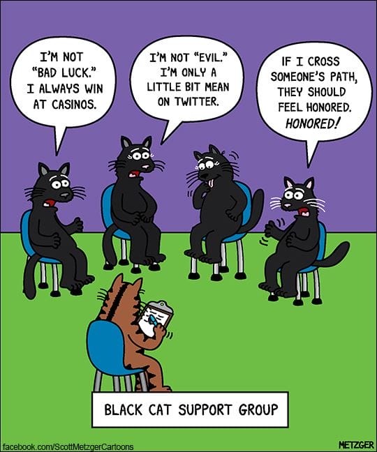 Funny Cat Cartoons