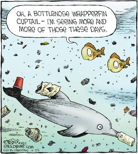 Witty Comics Humor