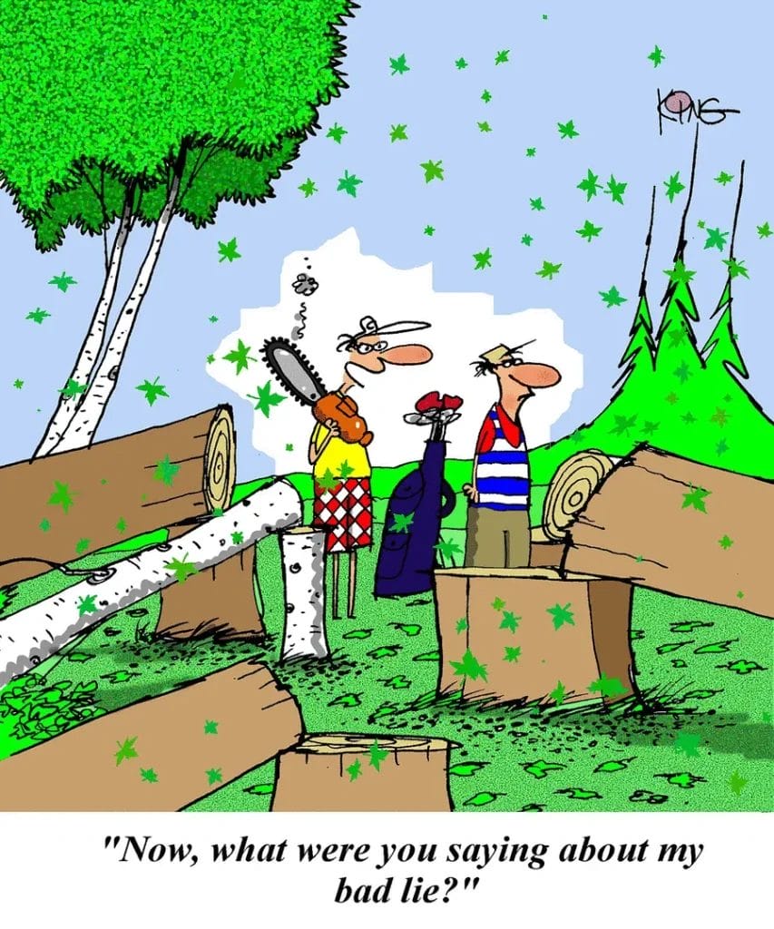 Daily Best Comics