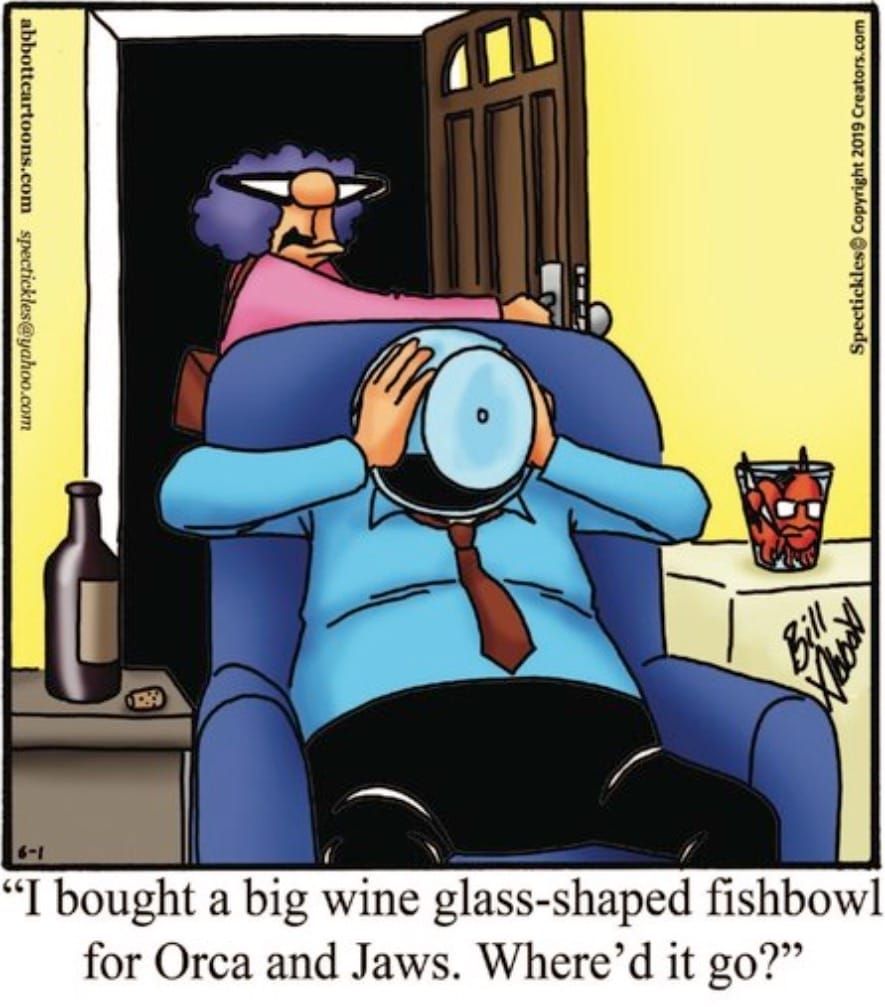 New Funny Cartoons