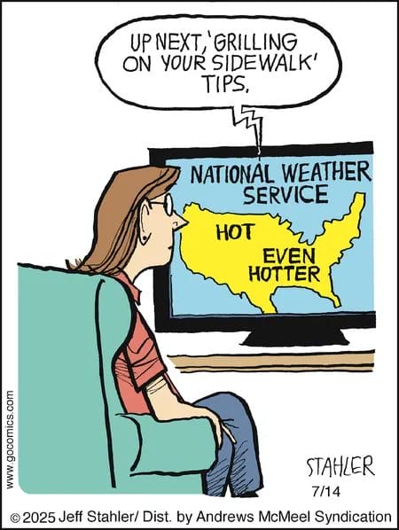 Daily Comics