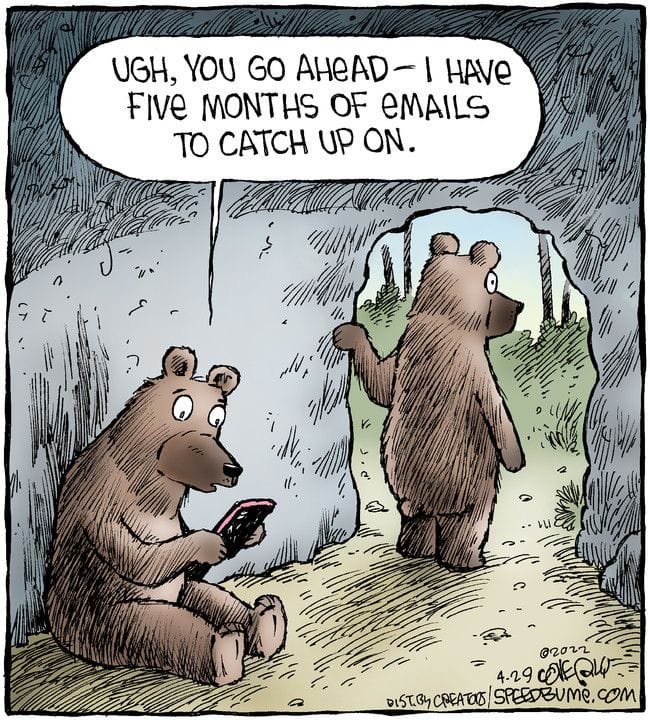 Daily Humor Strip