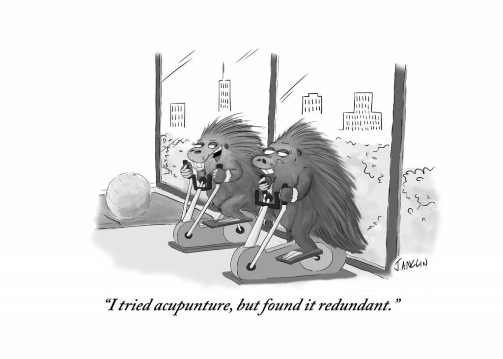 Daily Humor Comics