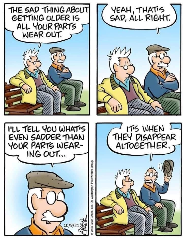 Daily Family Humor