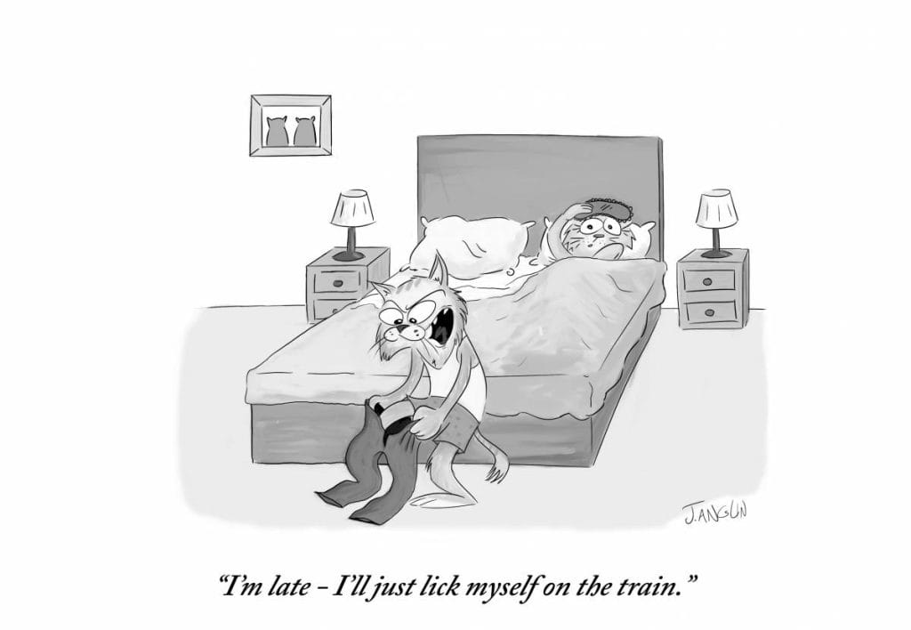 Daily Humor Comics