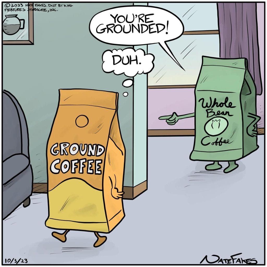 Viral Comic Strips