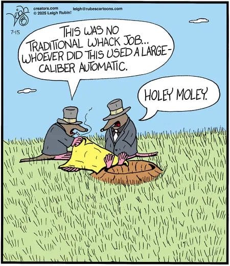 New Humor Cartoons