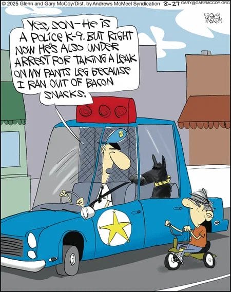 Best Funny Comics