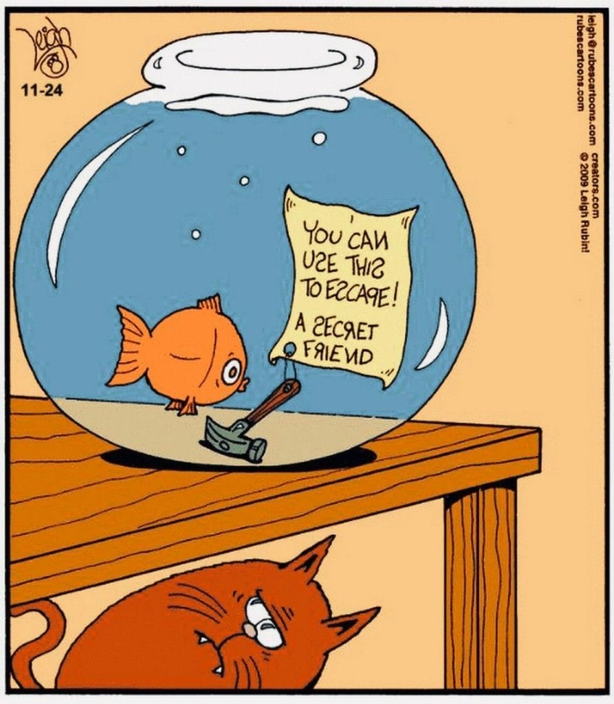 New Humor Comics