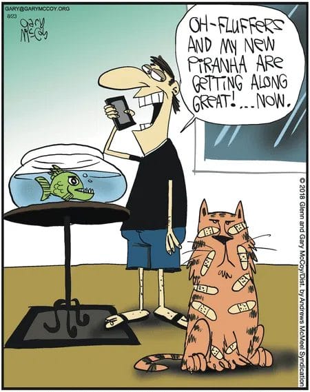 Best Funny Comics